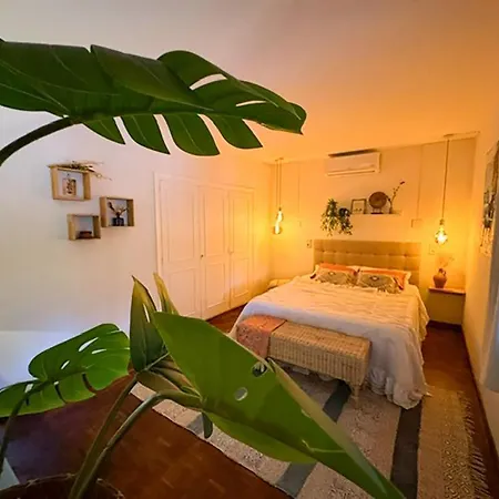 Canuta Baja بيت للعطل *